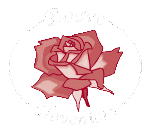 Laat een tuinontwerp maken en aanleggen door de hovenier van Boeve Hoveniers in regio Ede.