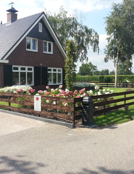 Hovenier Ede; Tuinontwerp laten maken; Tuinaanleg Ede; Hoveniersbedrijf Ede; Boeve Hoveniers in regio Ede; Boeve Hoveniers in Ederveen; Tuinontwerp laten maken door Boeve Hoveniers in regio Ede; Tuin aan laten leggen door Boeve Hoveniers in regio Ede;